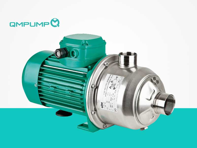 威樂Economy MHI不銹鋼泵